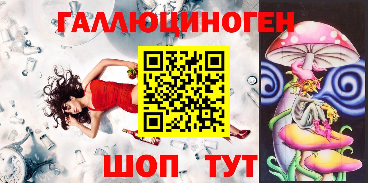 Таганрог  Псилоцибиновые грибы Cubensis  Вход с VPN 